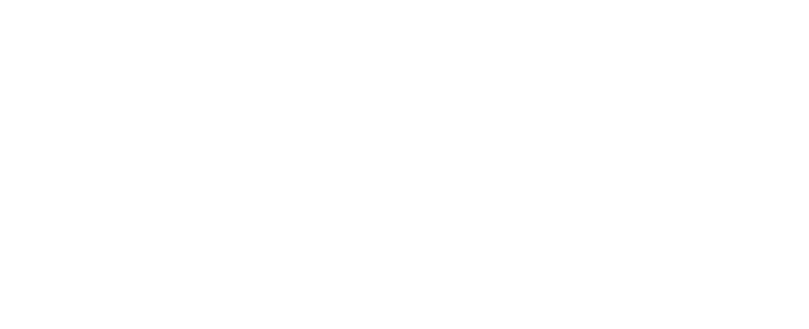 AVC Bilişim